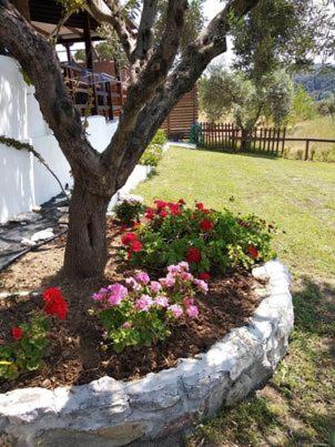 Ases Villa Lagonisi Halkidiki 오르모스 파나기아스 외부 사진